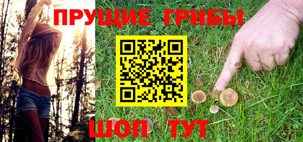 Мичуринск  Галлюциногенные грибы мицелий  Вход с VPN 